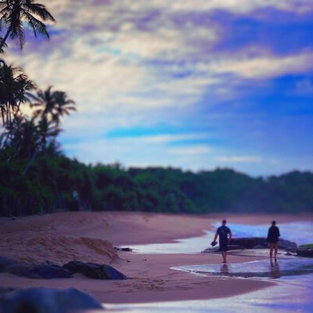 Amour At Turtle Beach Tangalle Eksteriør billede