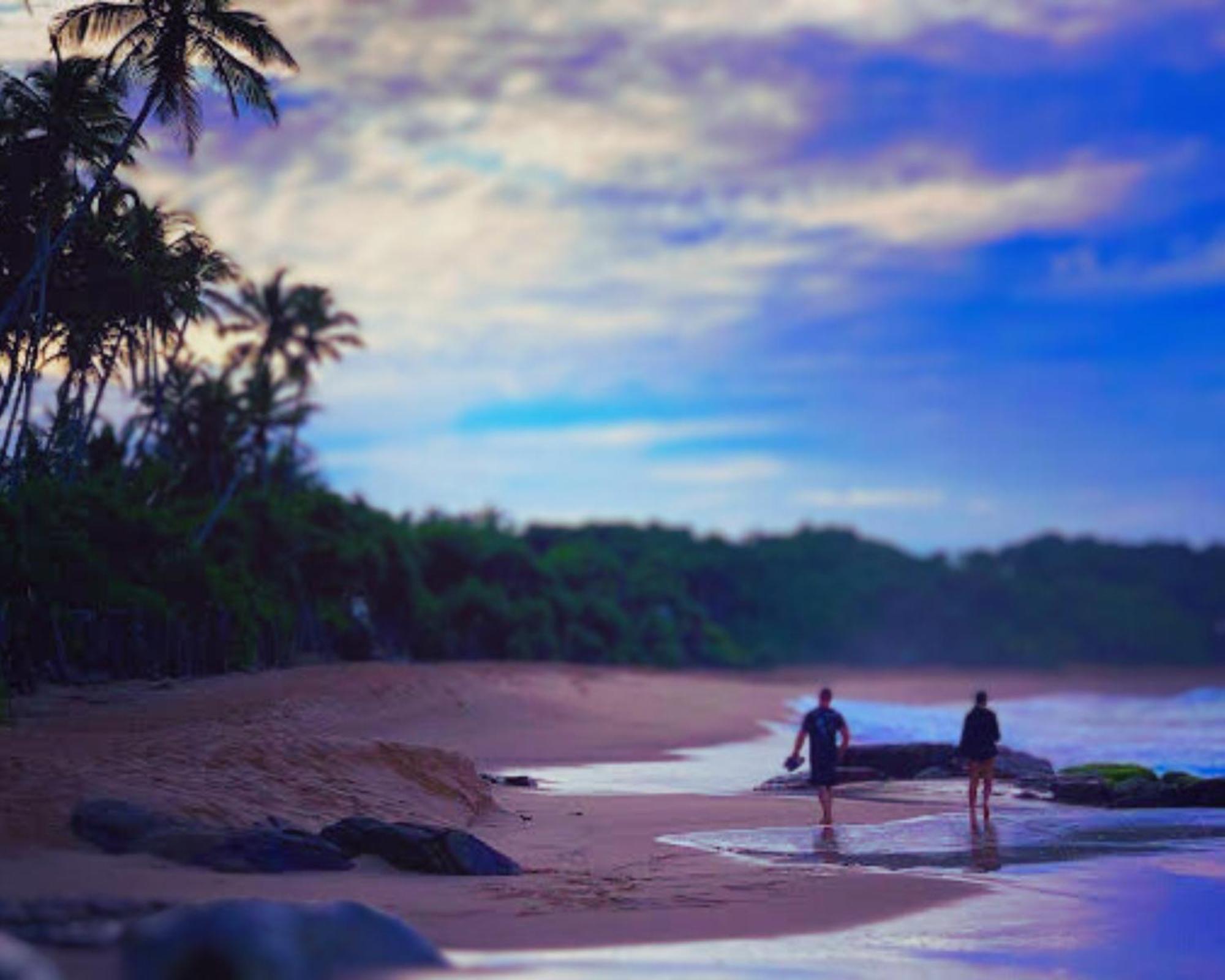 Amour At Turtle Beach Tangalle Eksteriør billede